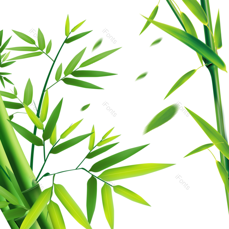 叶子图片,端午元素,夏天PNG,素材免抠素材